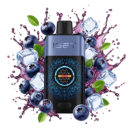 iget one 12000 Blueberry Ice